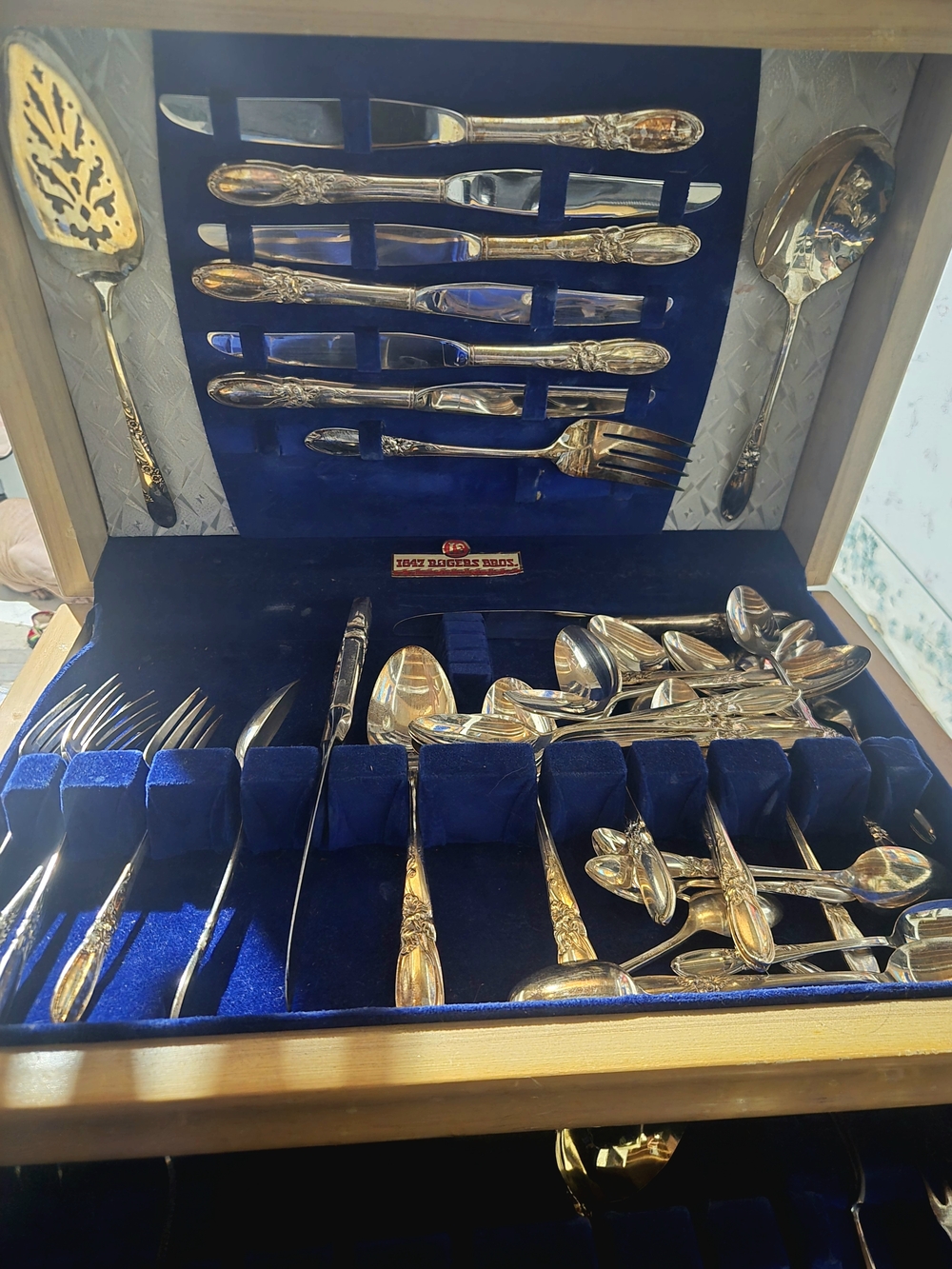 Rogers bros Silver-Plated Floral Handle Flatware Set - Blue Velvet Case